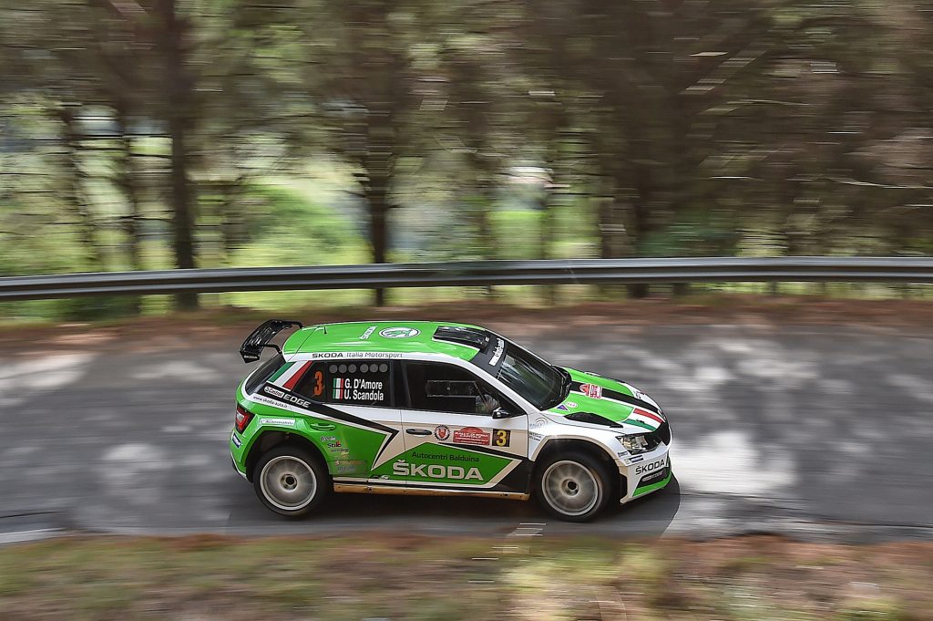 Umberto Scandola, Guido Damore (Skoda Fabia R5 #3, Car Racing)