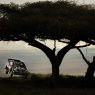 Safari Rally 2024: i due volti della stessa gara