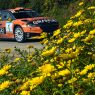 57° Rallye Elba: nello shakedown il miglior tempo è di Campedelli